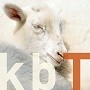 Wol van biologisch beheerde schapen